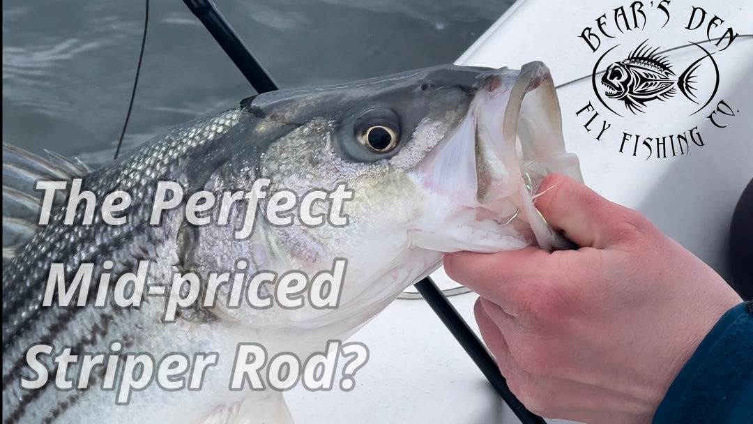 An on the water fly rod test with the G. Loomis Imx-Pro V2S, fishing for early season striped bass.