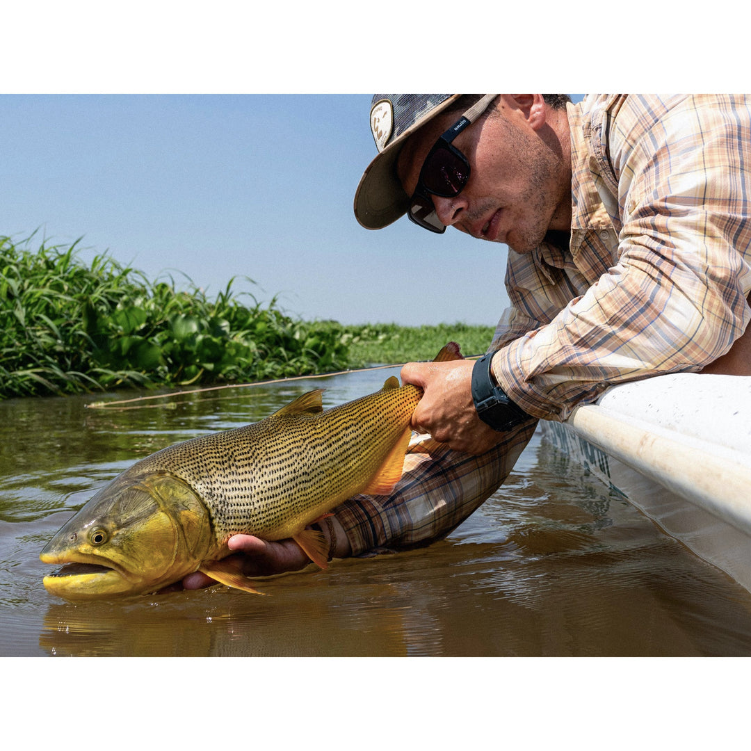 Set Fly Fishing "Golden Dorado in Argentina" (Thursday, Oct 9th)