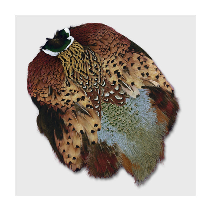 CCT Ringneck Pheasant Skin