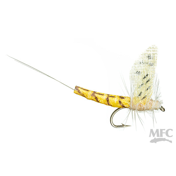 MFC Lucent Wing True Hex