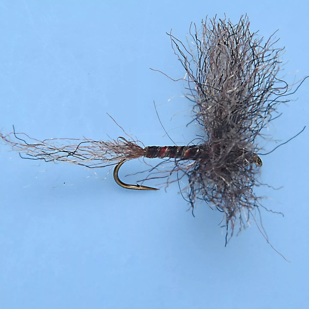 Enrico Puglisi Trout - Brown Drake - Splitwing