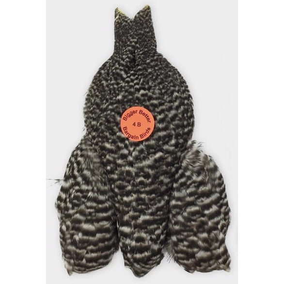 Whiting Farms 4 B's Hen Cape