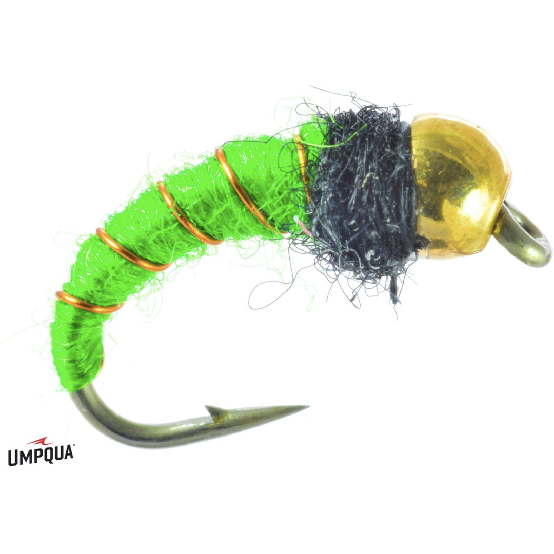 Umpqua Caddis Larva Bead Head