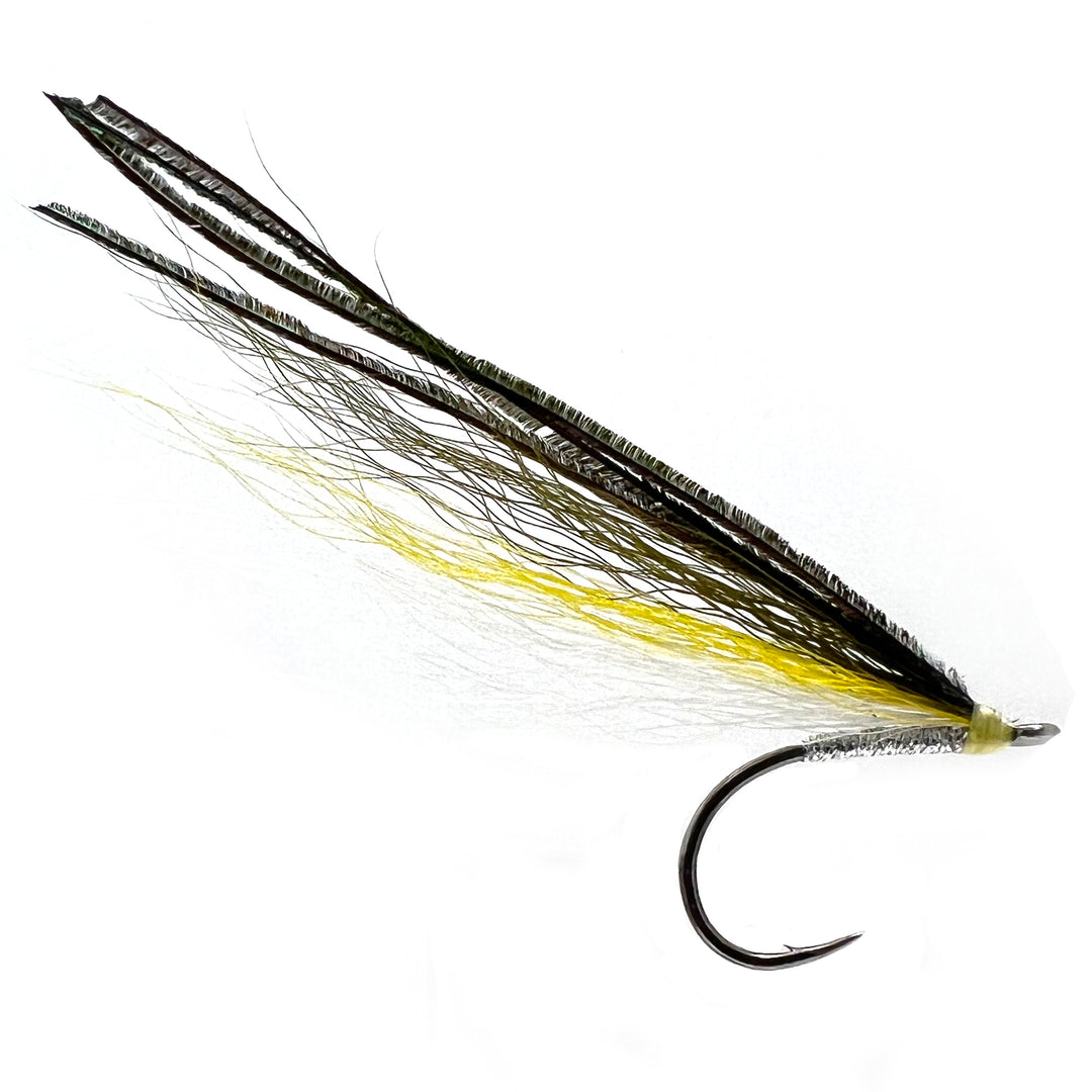 Ray's Fly - JK
