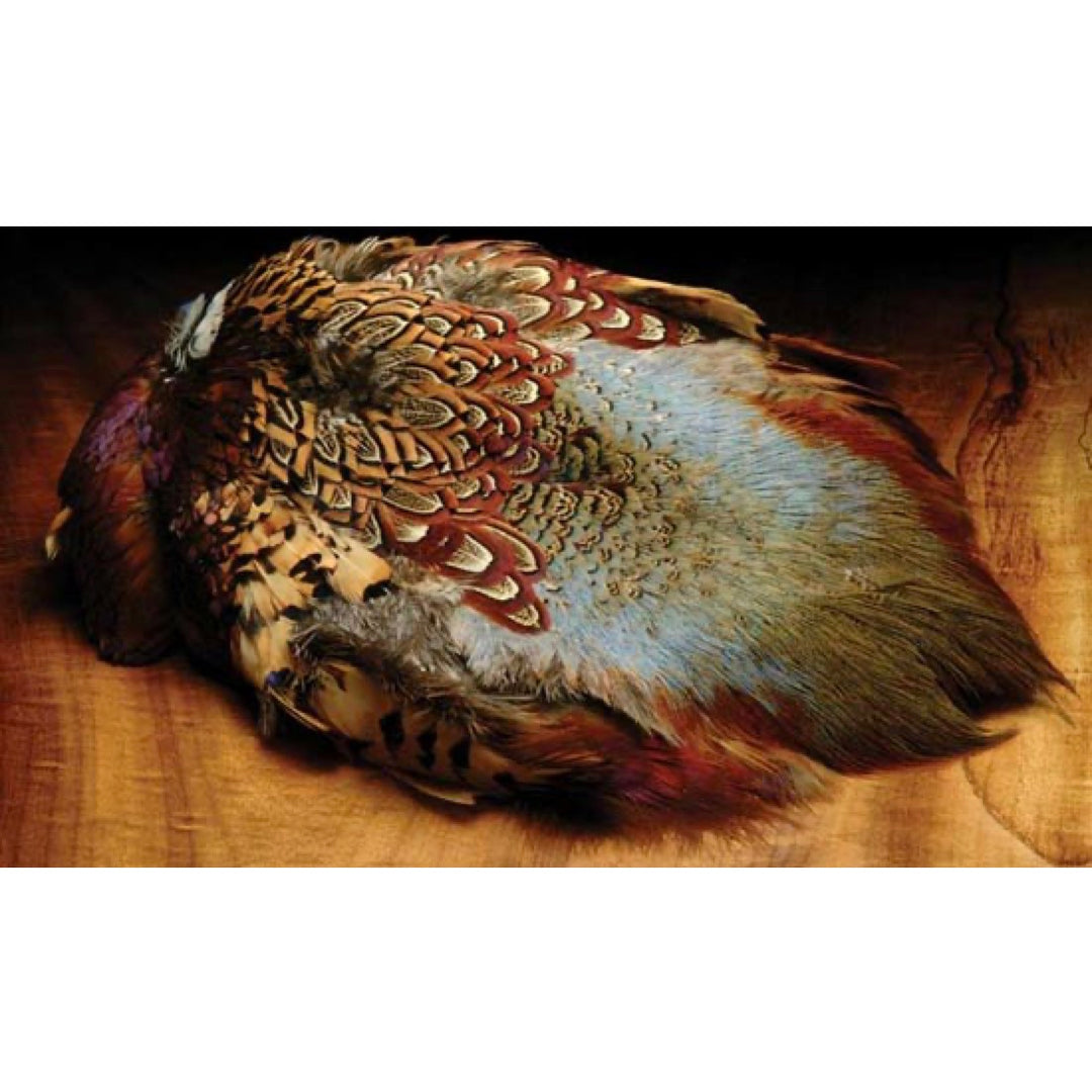 Wapsi Ringneck Pheasant Skin