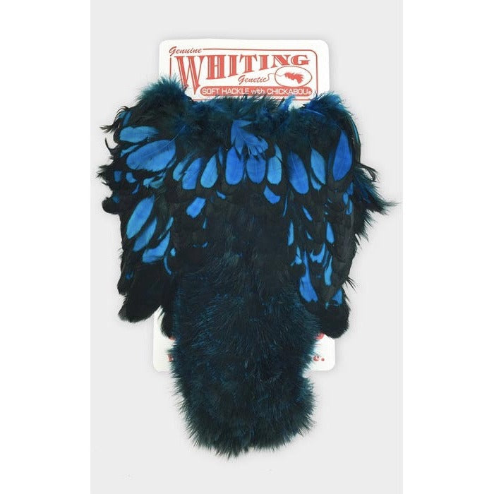 Whiting Farms American Hen Soft Hackle with Chickabou
