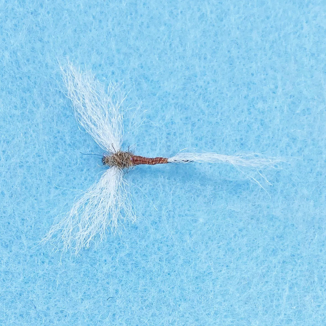 Enrico Puglisi Trout - Rusty Spinner