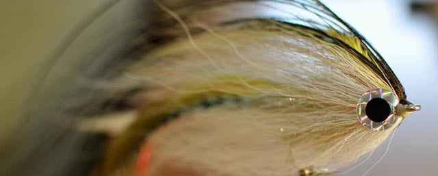 brown fishing lure eyes Flat Stick On Tab Eyes