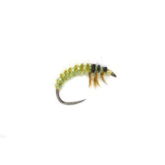 Fulling Mill OE Ryacophila Larva Barbless