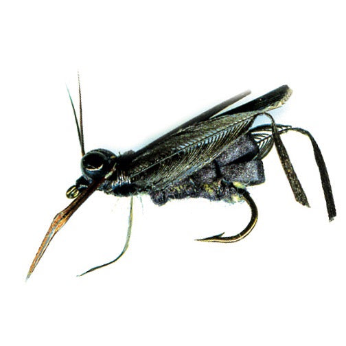 PFG BMAR Hopper