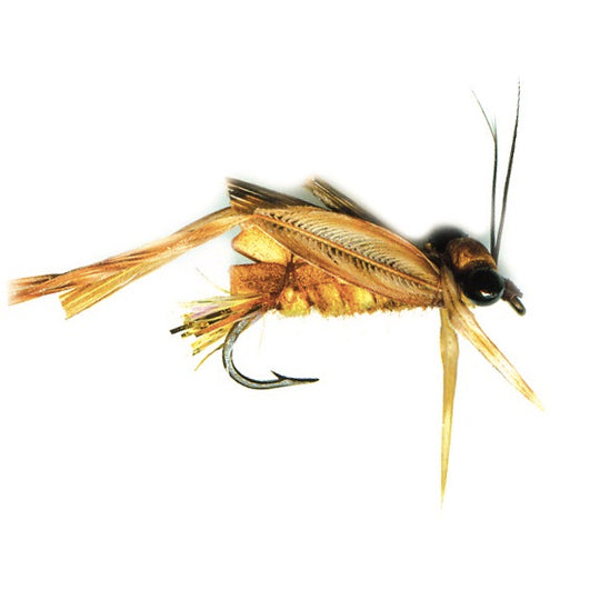 PFG BMAR Hopper