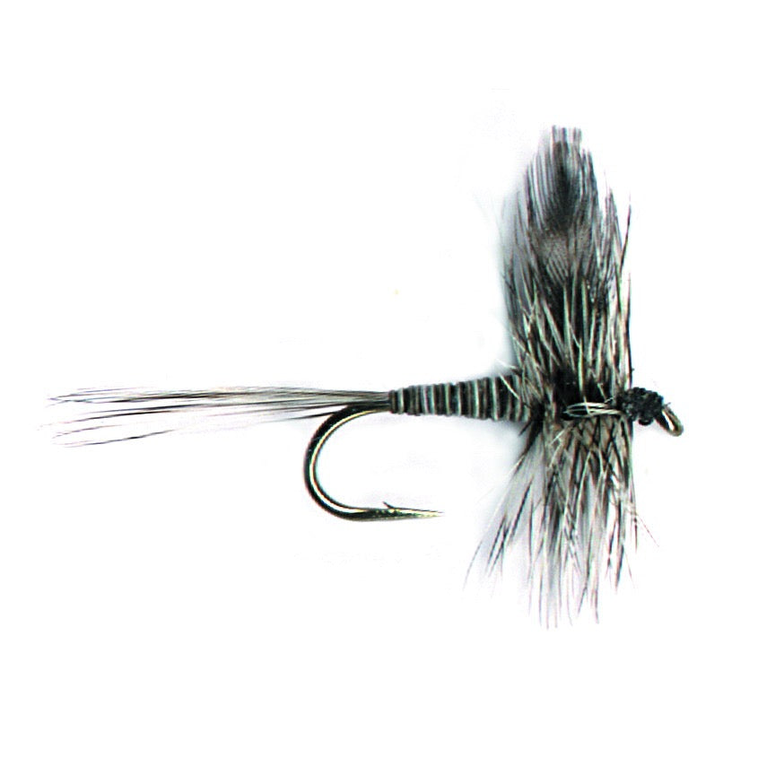 PFG Mosquito
