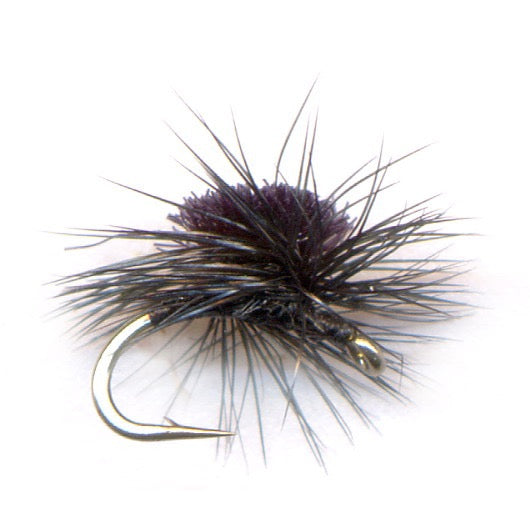 PFG Midge Cluster