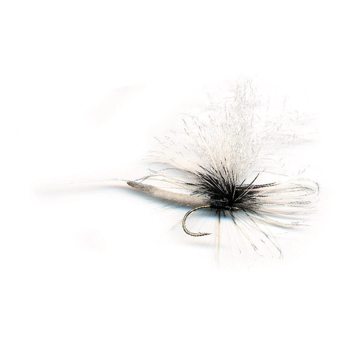coffin lure fishing PFG Rob Lewis' 100# Coffin Fly – Bear's Den Fly Fishing Co