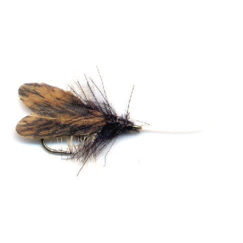 PFG Rob's Slow Water Realistic Caddis - Main Image