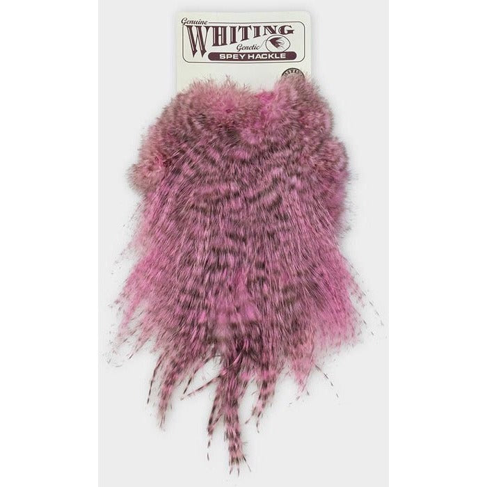Whiting Farms Bronze Spey Hackle Saddle - Main Image