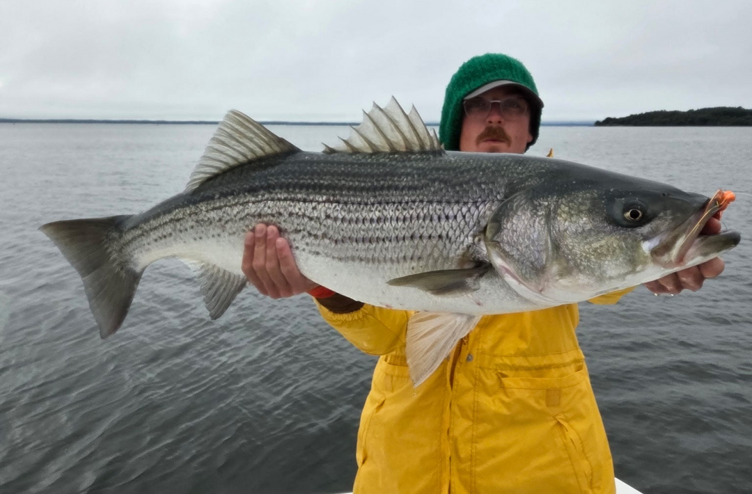 Bear’s Den Saltwater Fishing Report 10/2/2026