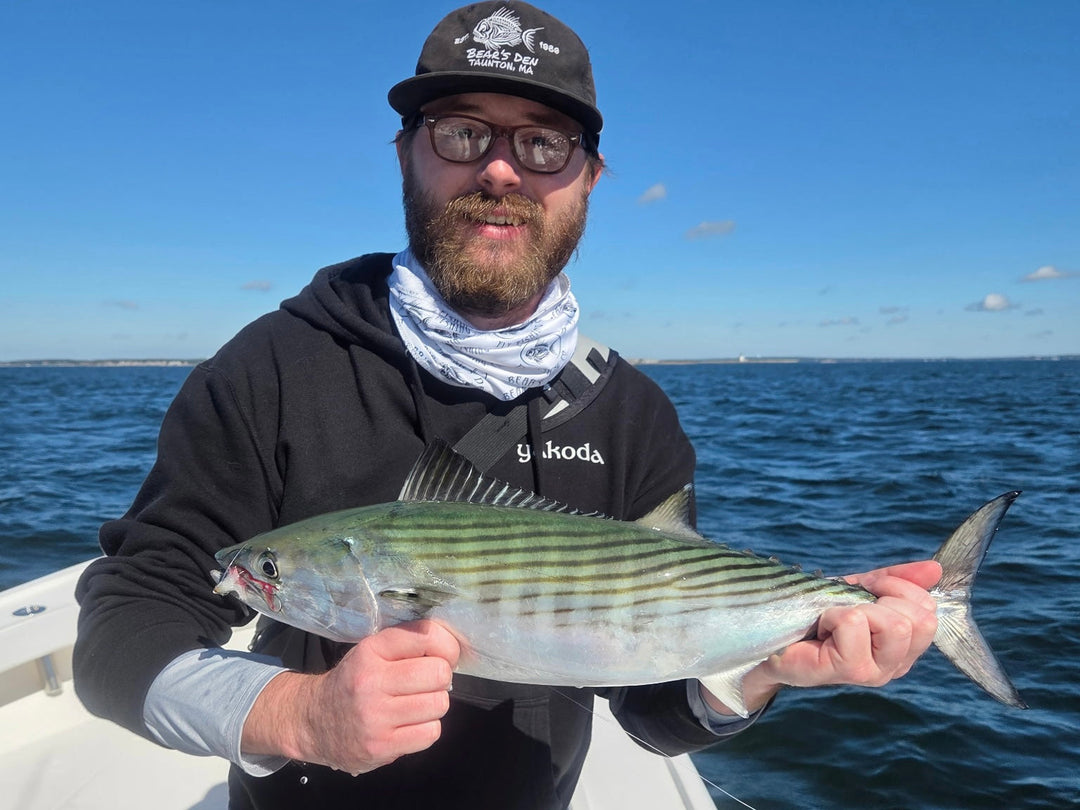 The Bearsden Saltwater Fishing Report 10/09/2026