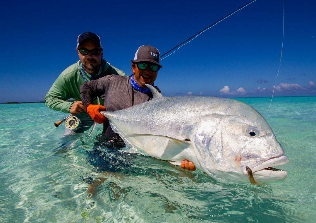 Why Buy an Expensive Fly Reel By Nick Curcione