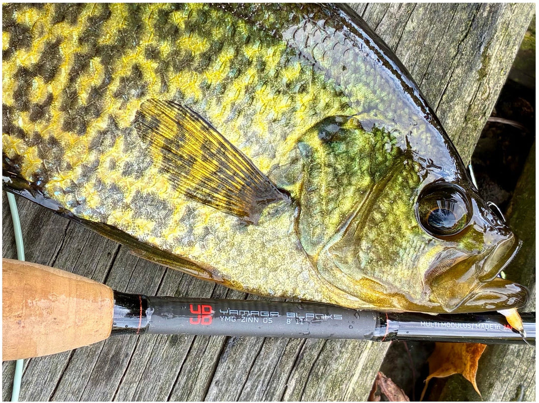 Yamaga Zinn Series 5wt Review  By Mike Rice