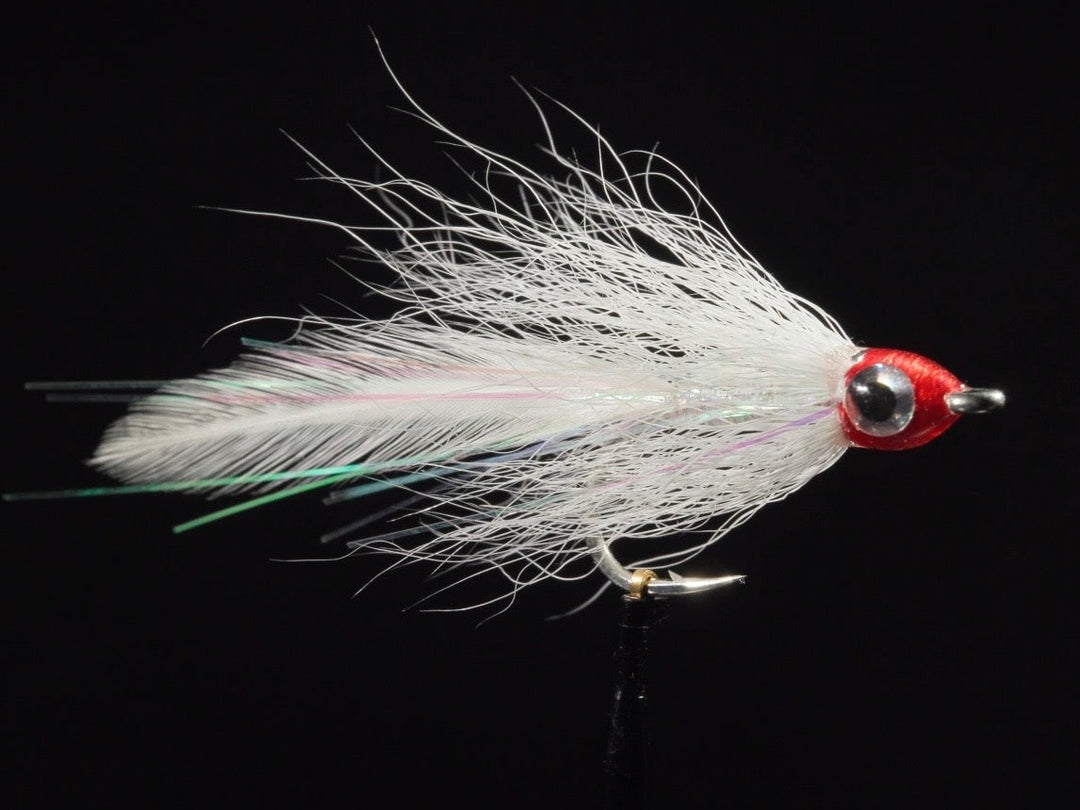 The Bonito Deceiver by Anthony Lombardo