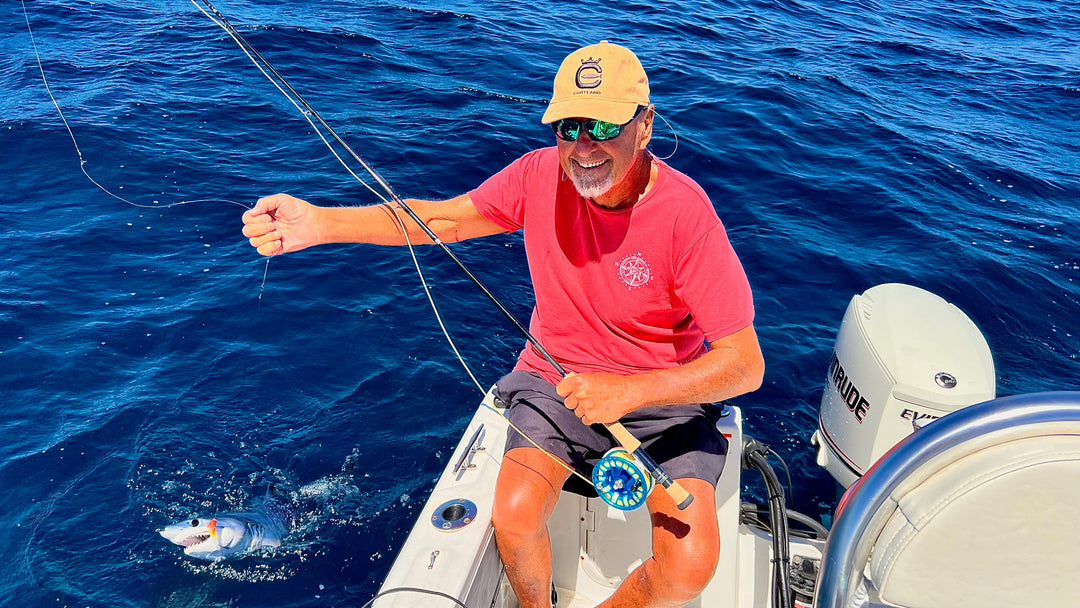 Review of the 10 and 12 Shilton SR Reels