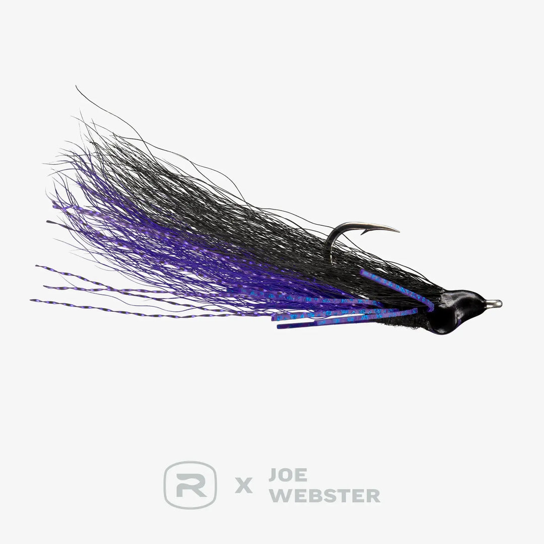 RIO Webster&