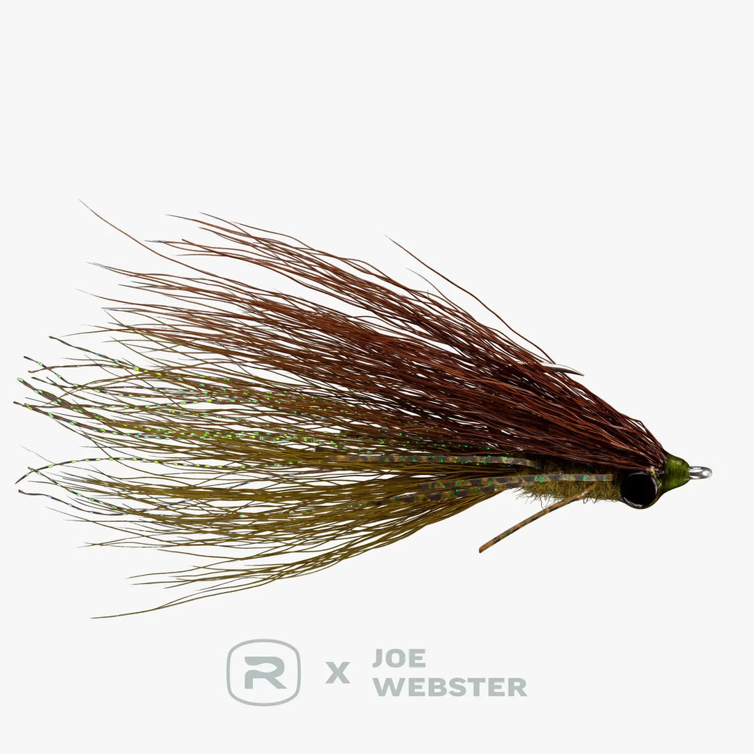 RIO Webster&