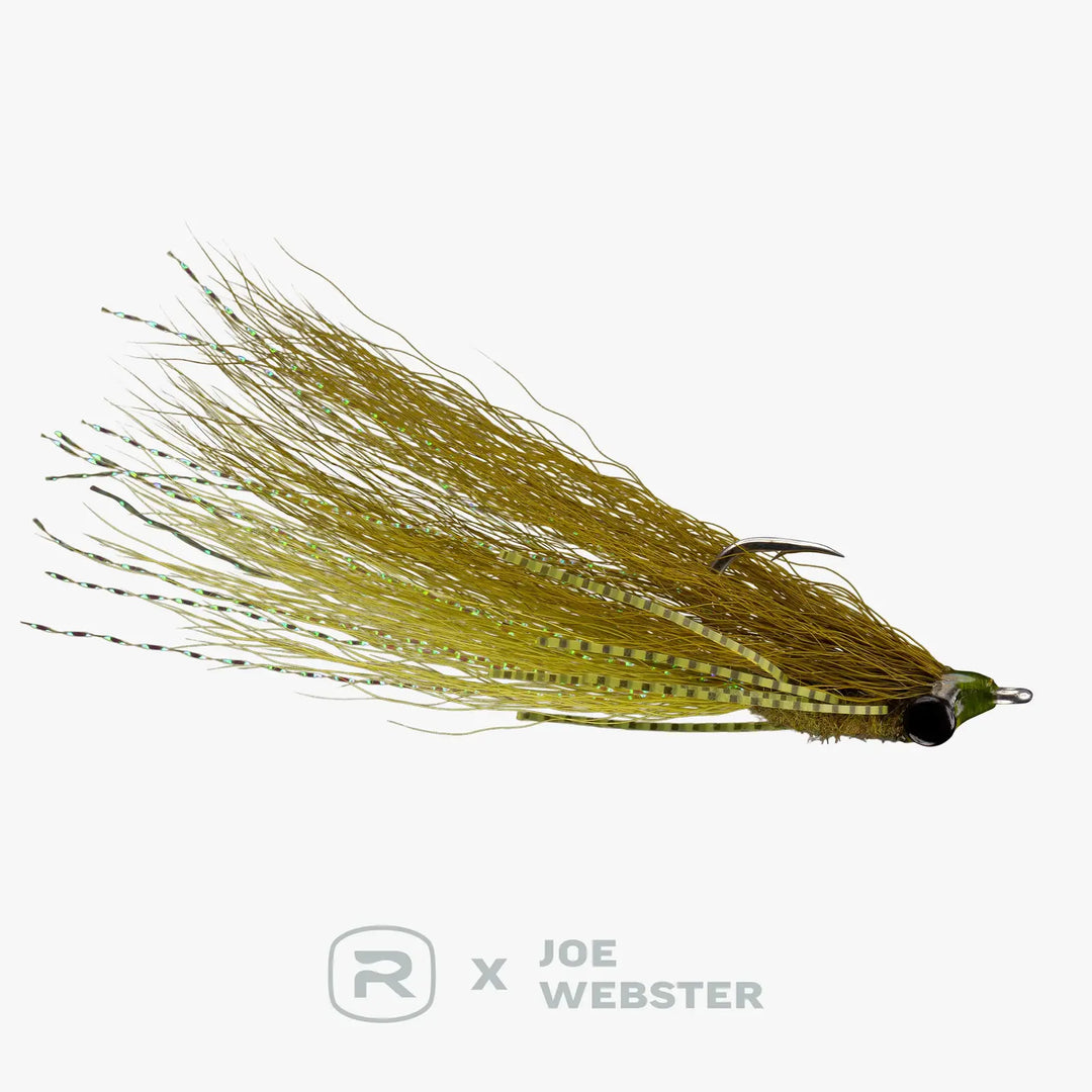 RIO Webster&
