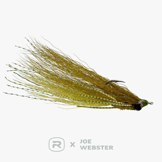 RIO Webster&