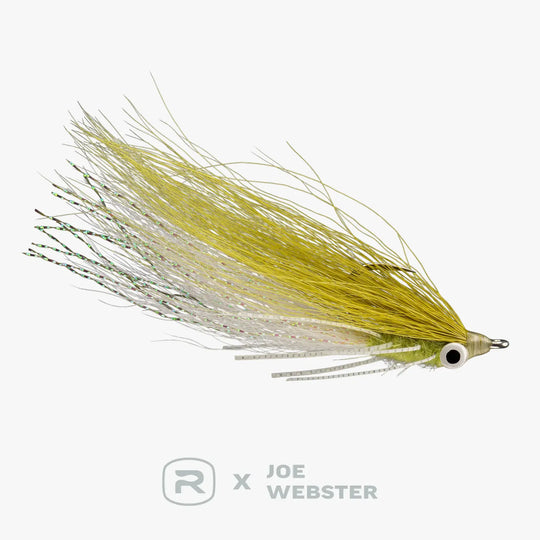 RIO Webster&
