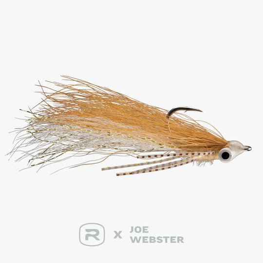 RIO Webster&