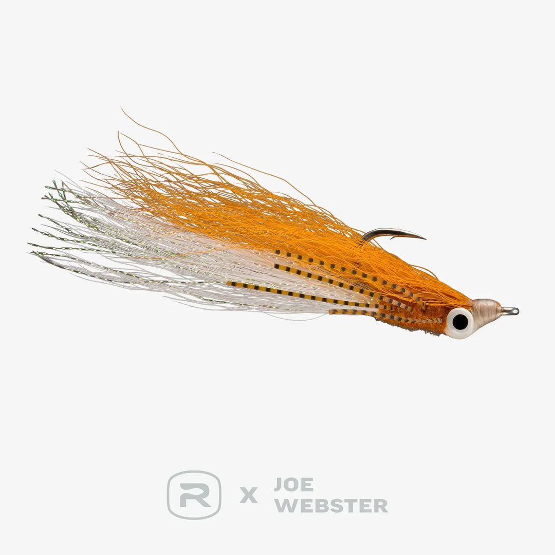 RIO Webster&