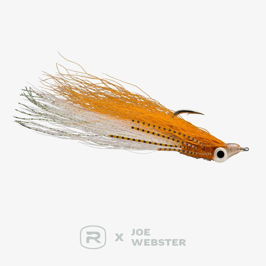 RIO Webster&