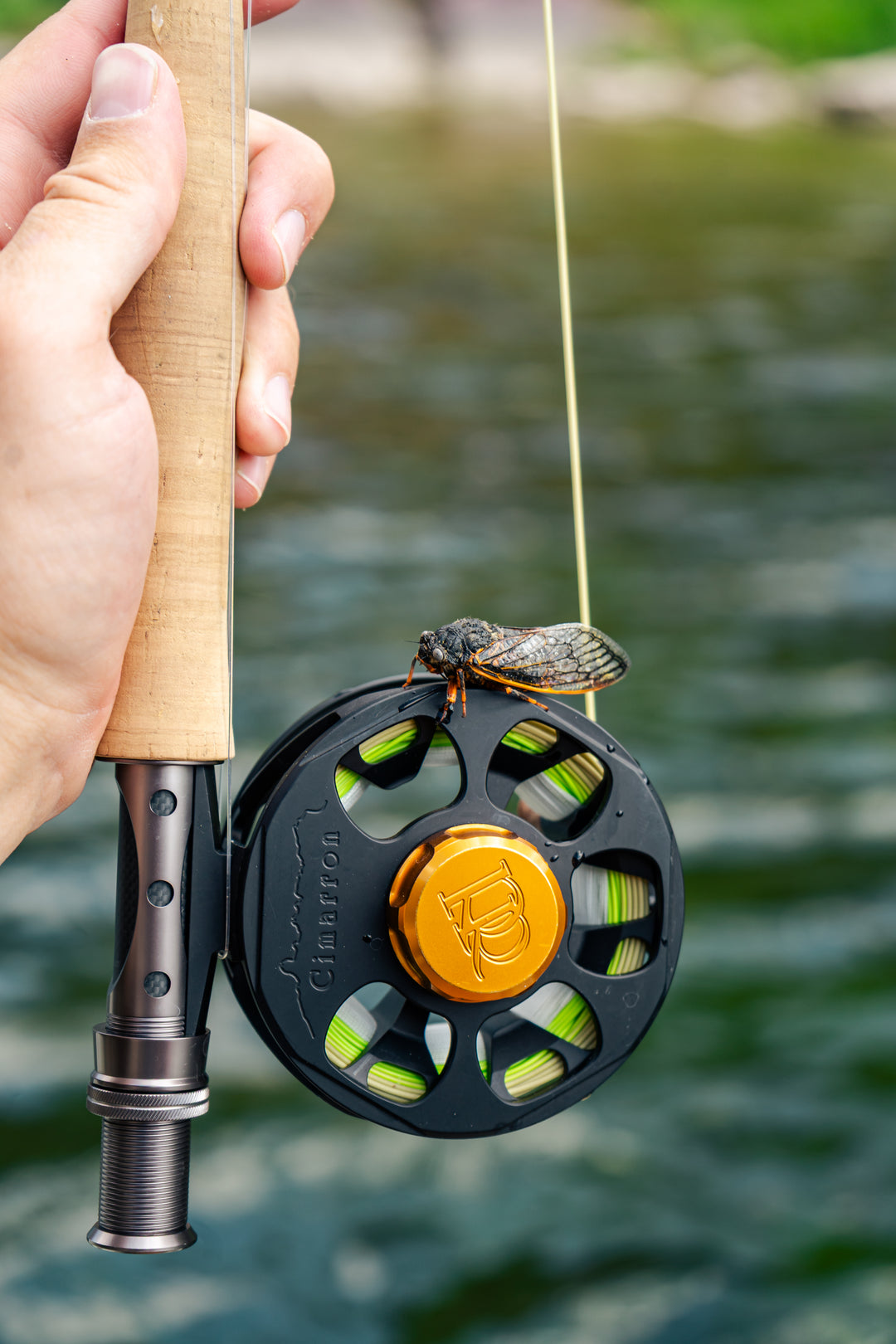 Ross Reels Cimarron LT Reel