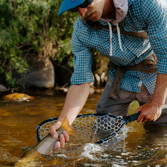 Rising Brookie Net