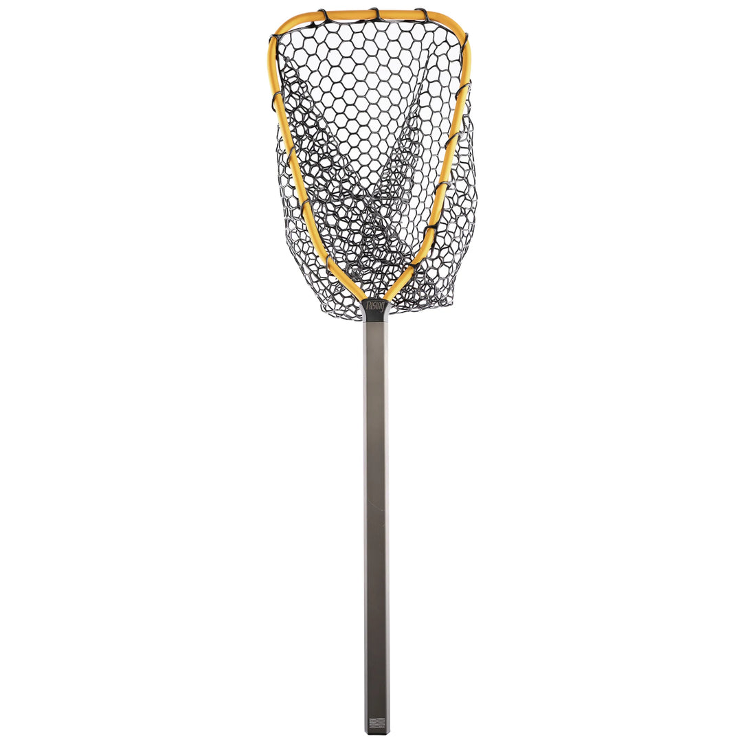 Rising Brookie Net