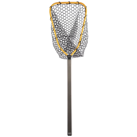 Rising Brookie Net