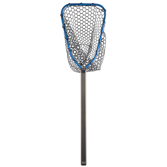 Rising Brookie Net