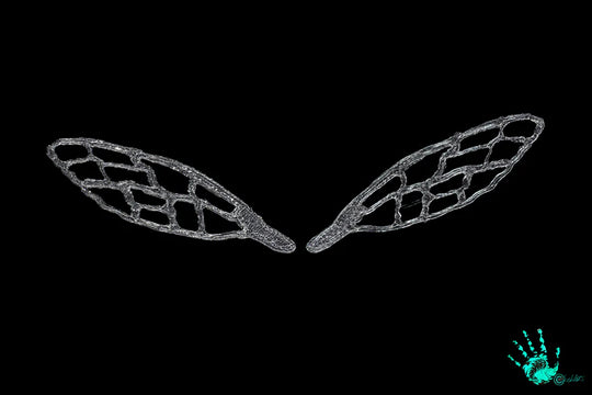 Blane Chocklett 3D Bug Wings