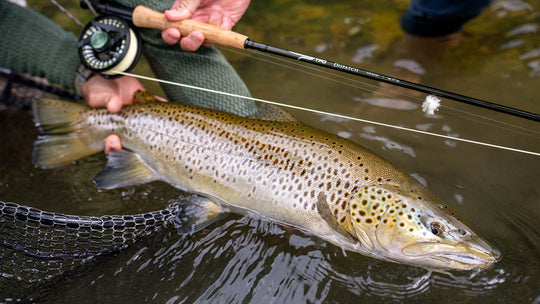 Temple Fork Outfitters Dispatch Kit