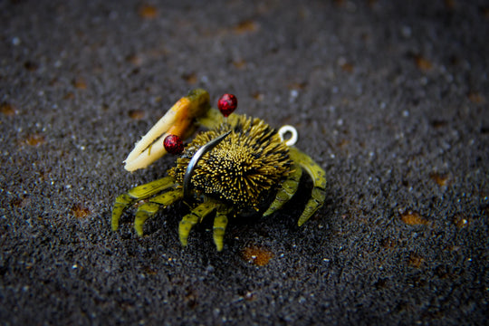 Flats Craft Fiddler Crab