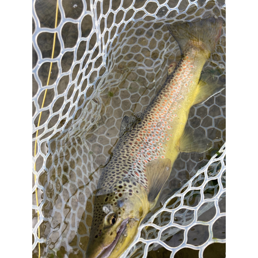 Michael Brucato Soft Hackle Tying Class & Presentation (Saturday, April 26th)