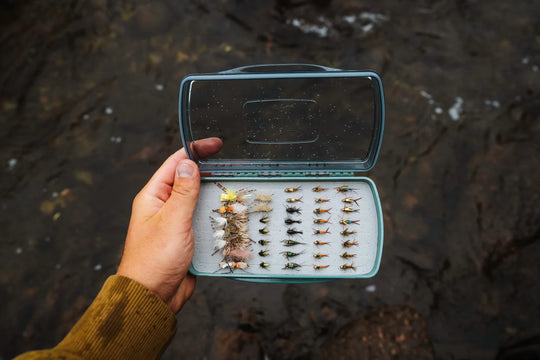 Fishpond Tacky Pescador Fly Box (Medium) Clear w/ Dynamic Foam