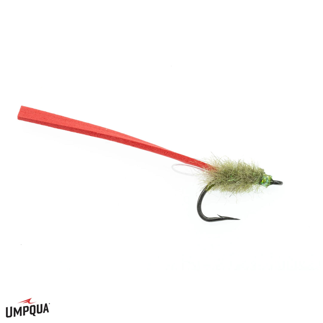 Umpqua Chicone&