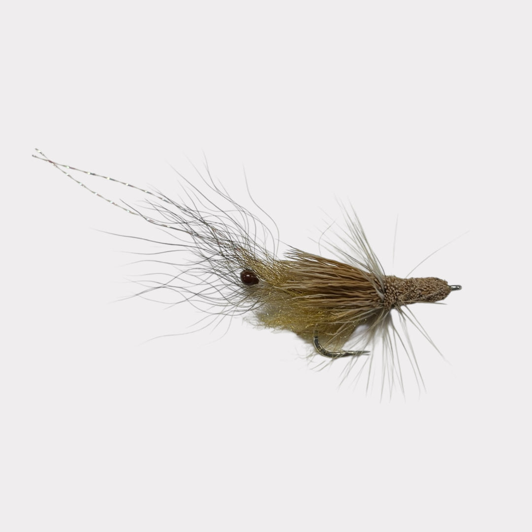 Dave Skok Grass Shrimp