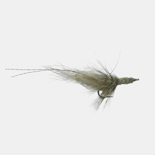 Dave Skok Grass Shrimp