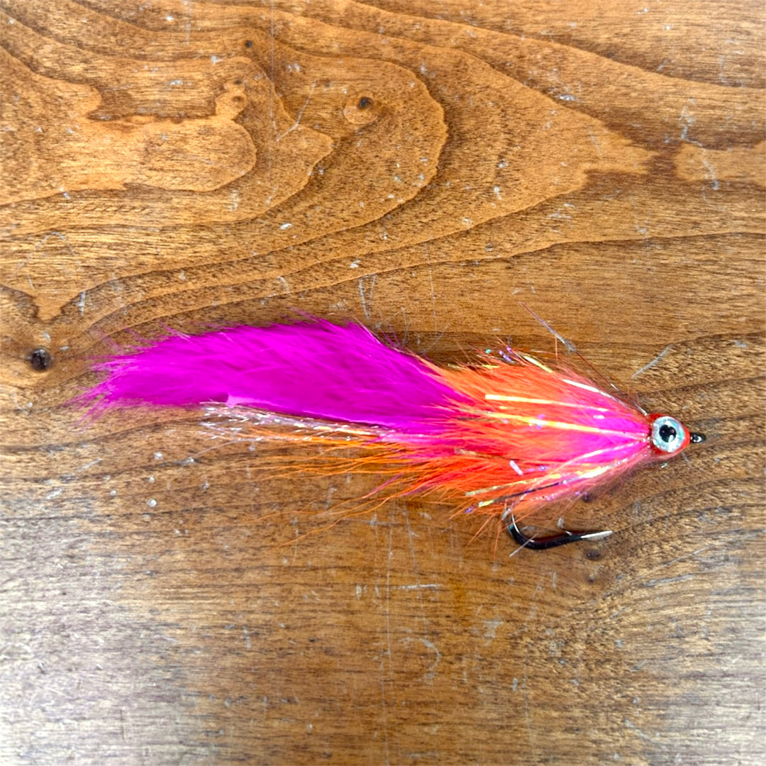 Dave Skok Bonito Bunny