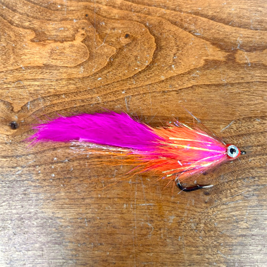 Dave Skok Bonito Bunny