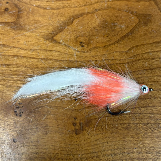 Dave Skok Bonito Bunny